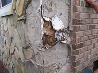 Rot and mold growth beneath siding due to building envelope defects.